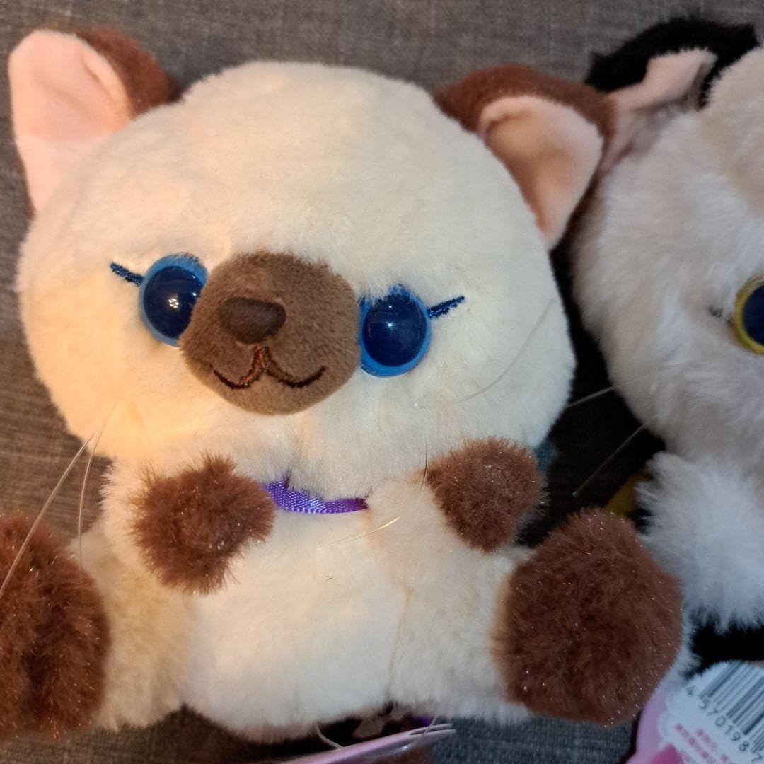 MY LITTLE CAT ぬいぐるみ セット Amazon.co.jp: マイリトルキャット 全3種 4体 ねこ ぬいぐるみ